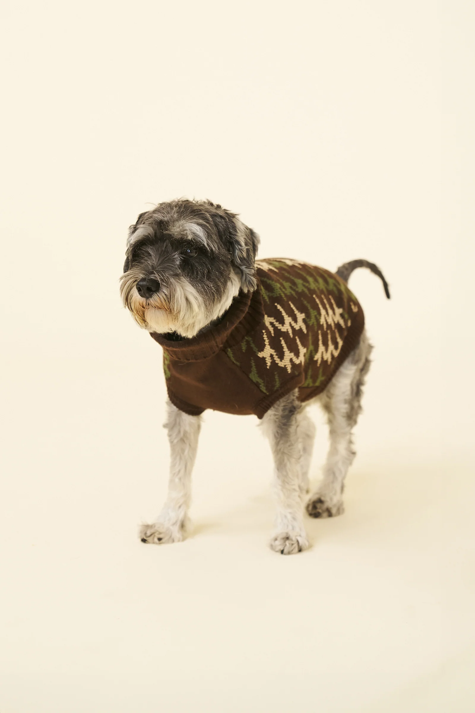 RONNIE DOG KNIT - BROWN - Image 3
