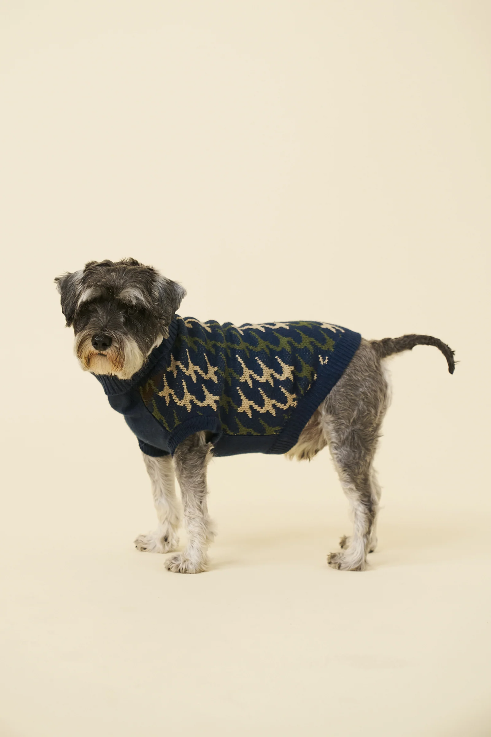 RONNIE DOG KNIT - NAVY - Image 4