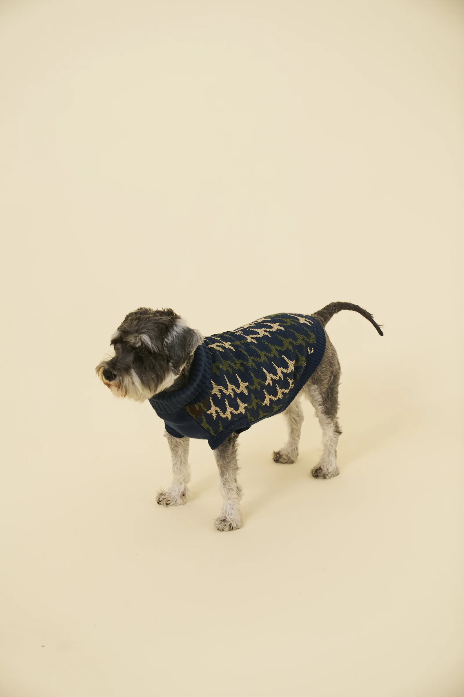 RONNIE DOG KNIT - NAVY - Image 5